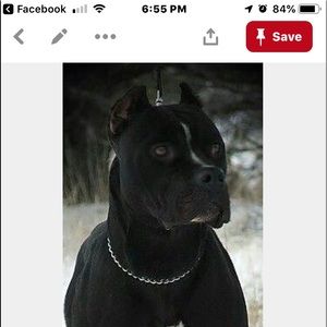 Meet your Posher, Vee